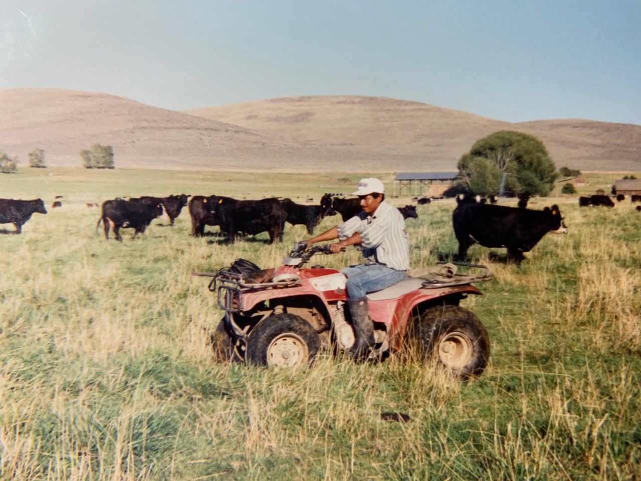 Alfonso Y sus Vacas